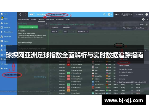 球探网亚洲足球指数全面解析与实时数据追踪指南