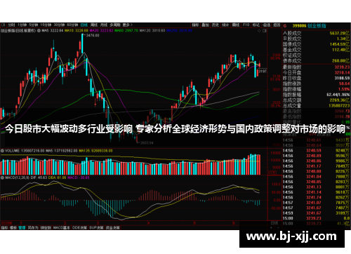 今日股市大幅波动多行业受影响 专家分析全球经济形势与国内政策调整对市场的影响